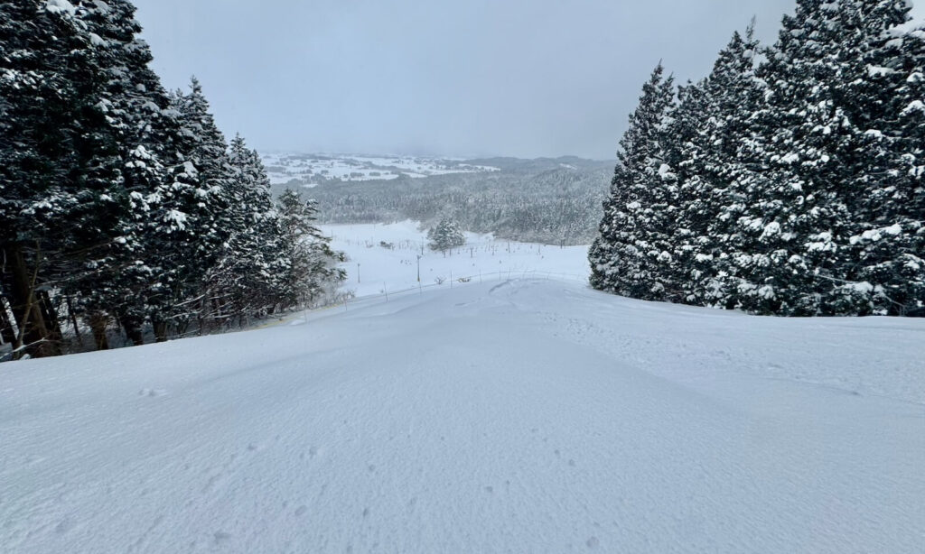The bend on the Expert Course at Ohdai Ski Resort