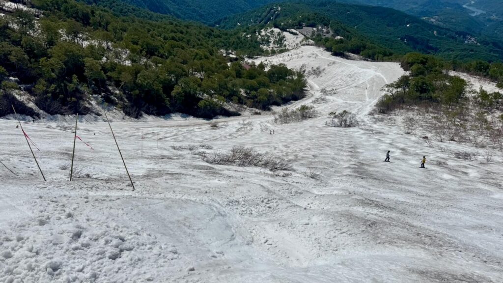 The contrasting green of the spring forest and the white of the remaining snow at Gassan