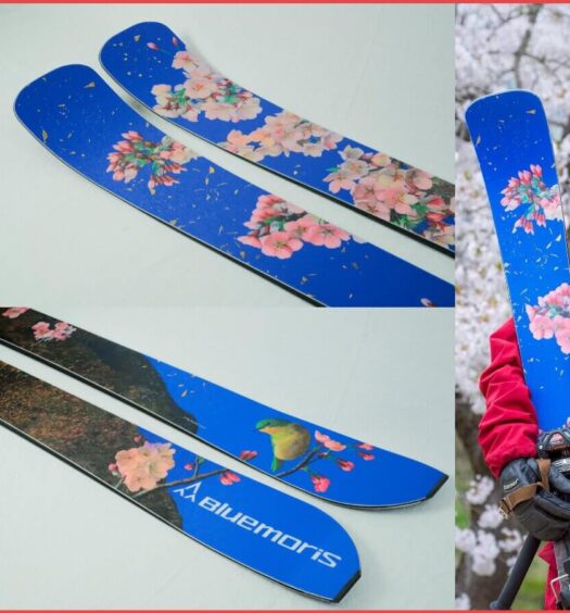 The cherry blossom and songbird artwork on Bluemoris’s updated Raptor