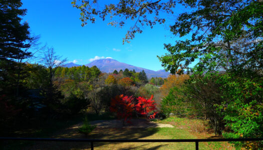 11 stunning Karuizawa properties that have recently dropped in price