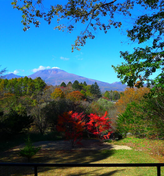 Karuizawa homes for sale