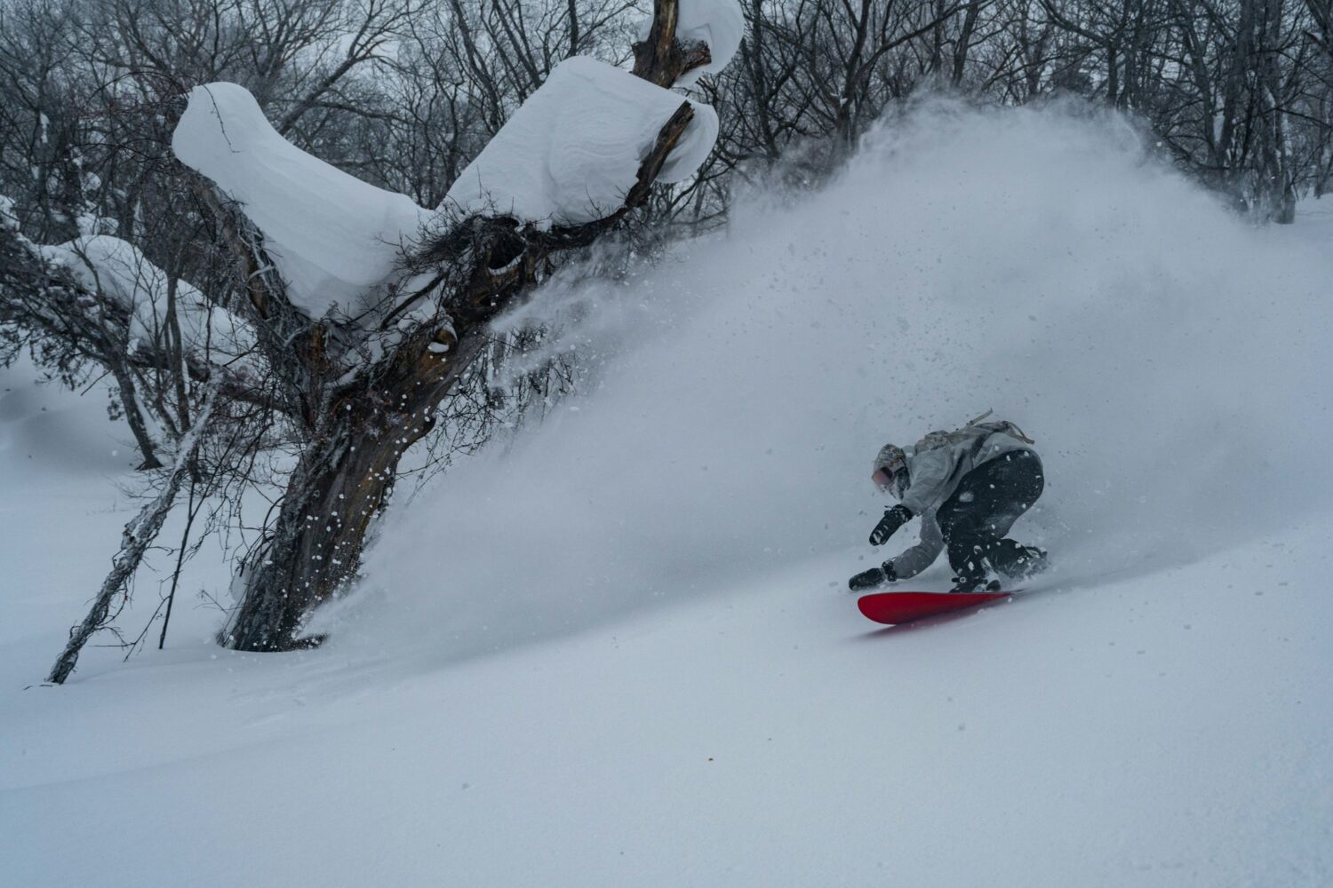 Effect of El Nino on skiing in Japan