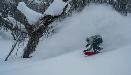 Worried about the effect of the Super El Niño on your Niseko ski holiday? You shouldn’t be