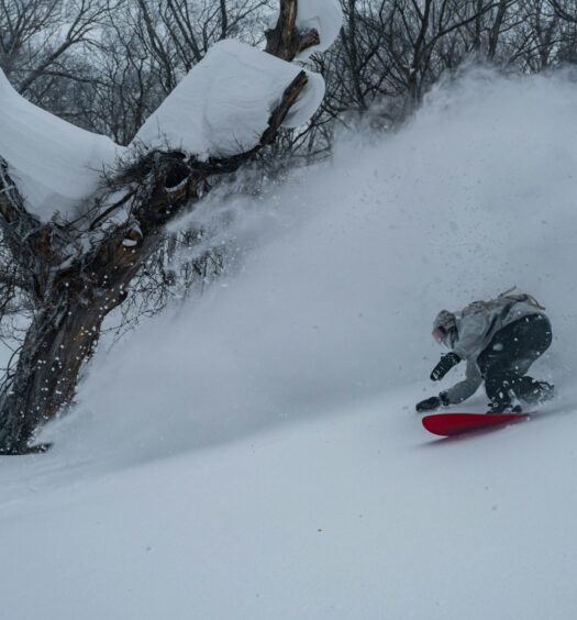 Effect of El Nino on skiing in Japan