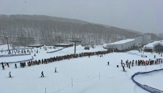 Has Niseko become too popular? Or can you time your trip to perfection?