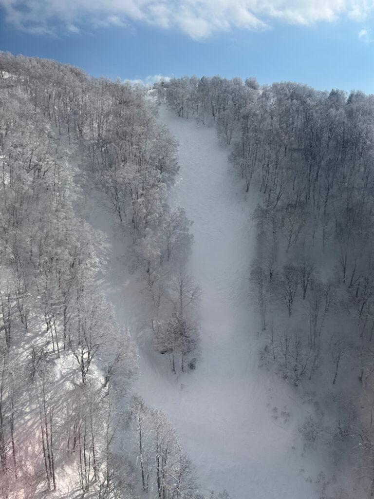 The terrain on offer at Ryuoo Ski Park, a short drive from Iiyama
