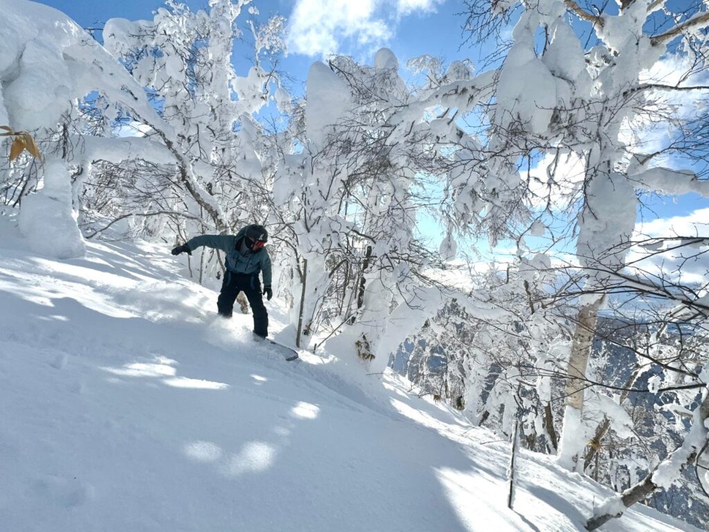Ducking branches to find the fresh spots at Rusutsu. Image: Aron Tarjani